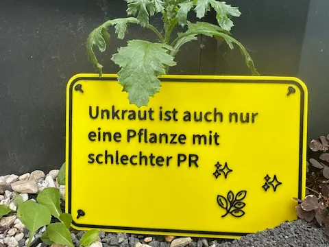 Unkraut ist auch nur eine Pflanze
