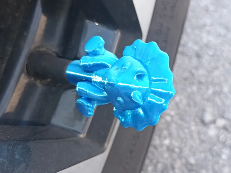 Tricaraptor Valve Cap