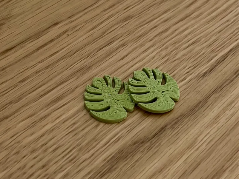 Einkaufschip Monstera | 50 Cent Format | Blatt