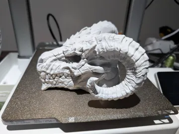 Adorno temático: Black Dragon Skull decor — vista de referencia 5