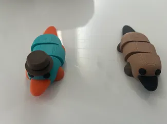 Platypus/Perry The Platypis Fidget Toy