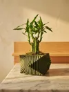 0.2mm layer, 2 walls, 8% infill