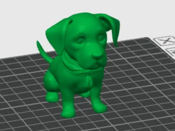 Cute Dog