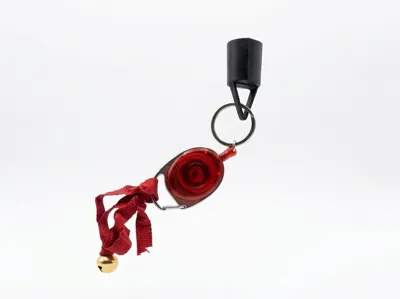 Lighter Holder with Carabiner Hook