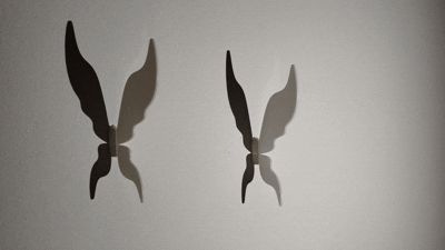 Shadow Dancing  Butterfly
