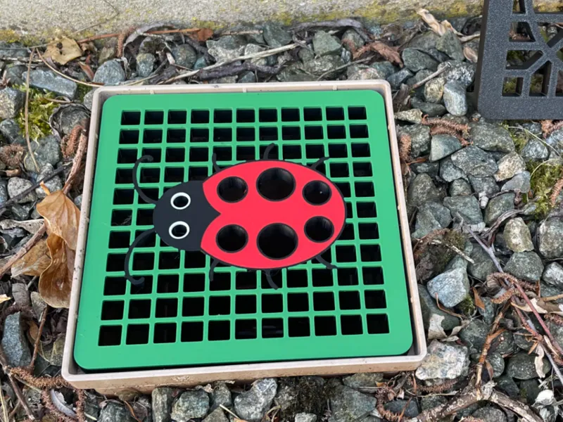 Ladybird Ladybug Drain / gutter / gully trap grill