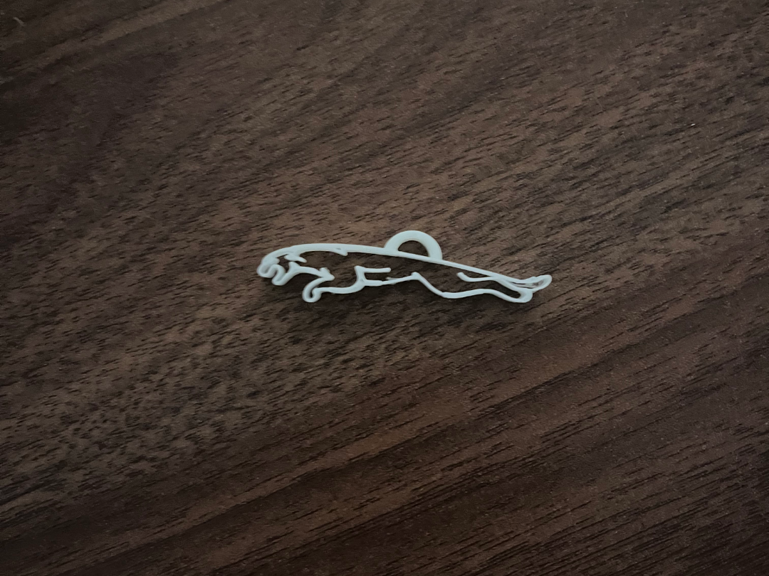 A Jaguar For Keychains