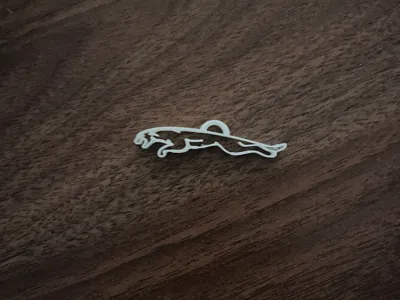 A Jaguar For Keychains