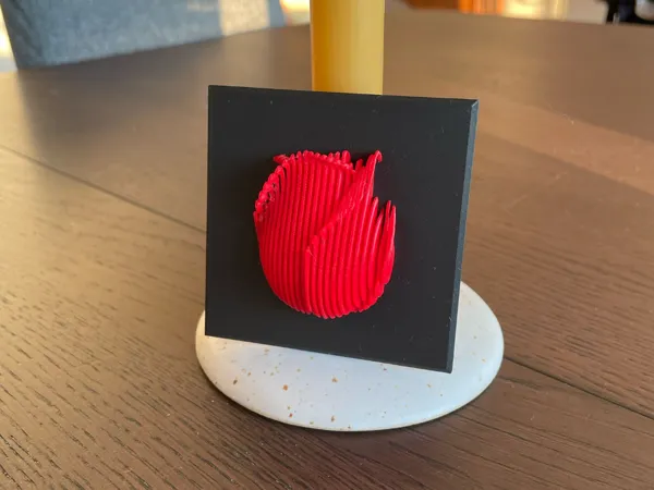 https://makerworld.bblmw.com/makerworld/model/US26e12d848922a8/design/2025-03-10_79de6c397868b.jpeg
