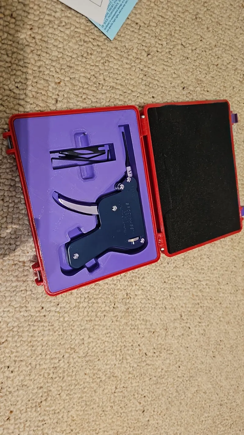 Lockpick Gun Case