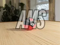 AMS Profile