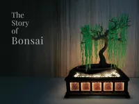 The Story of Bonsai - Stage and Willow Tree