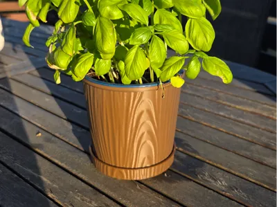Wood-look Flowerpot - Organic Planter