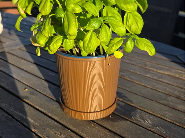 https://makerworld.bblmw.com/makerworld/model/US26eda4dfc20d10/design/7d8c44e5361f0d60.jpg