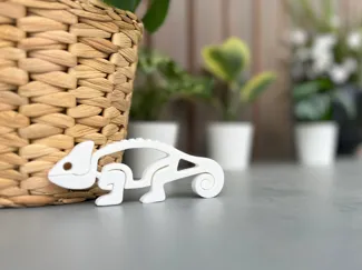 SNEAKY CHAMELEON CLIP!
