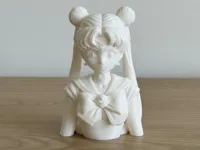 Easy and Good Quality Fast Print with GREAT Supports (10cm)