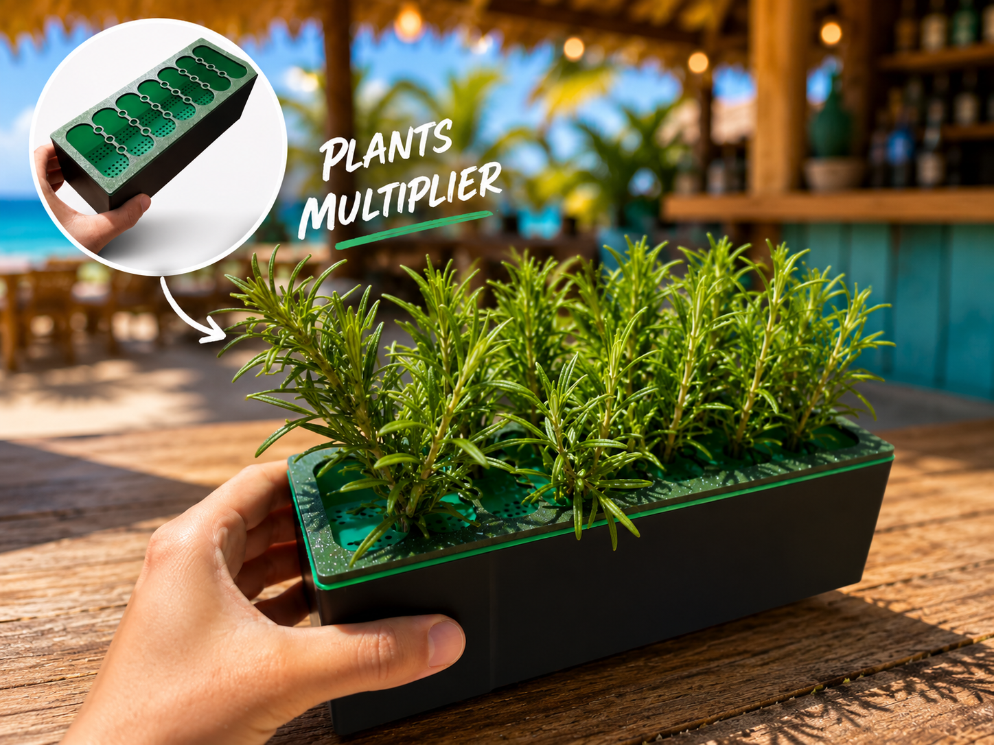 Plants multiplier vase