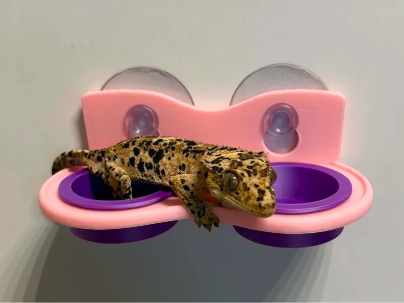 Double Hanging Feeding Ledge for Geckos with bowls