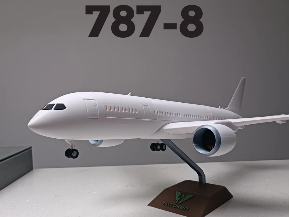 1/100 scale Beoing 787-8 model