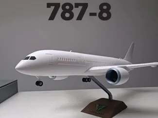 1/100 scale Beoing 787-8 model