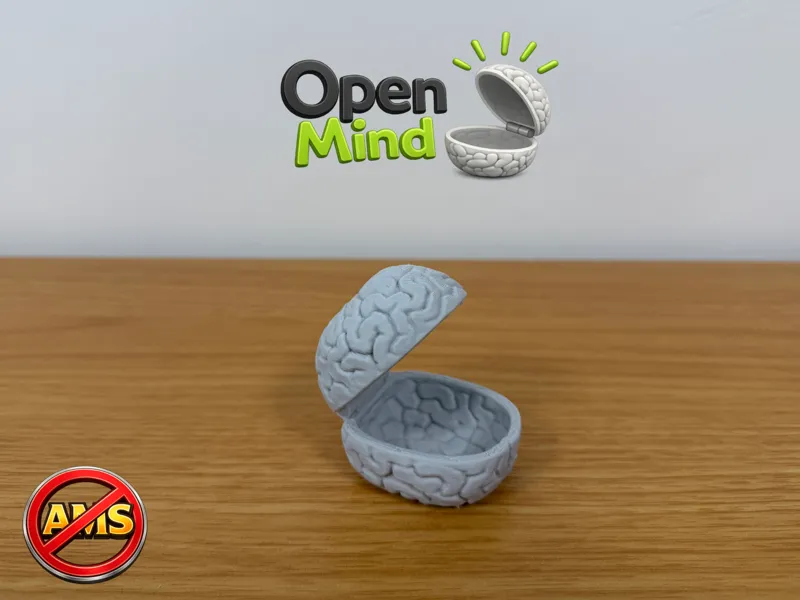 Open Mind