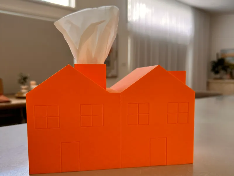 Duplex/House Tissue Box Cover