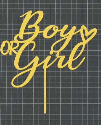 Boy or Girl