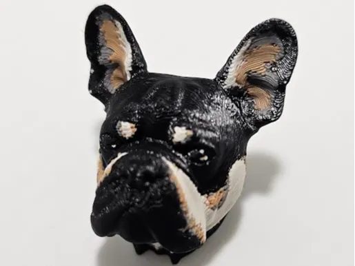 French Bulldog Face