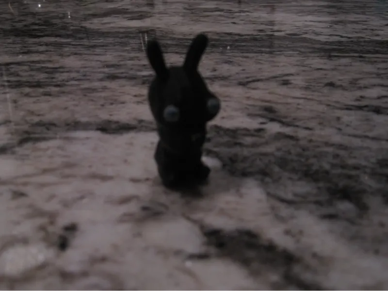 Chaos Bunny Meme 