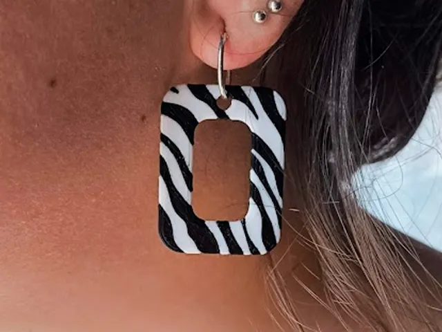 Zebra - Rectangle Earrings