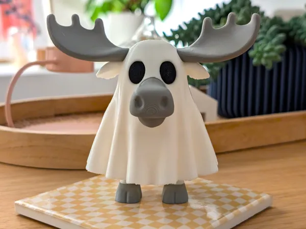 https://makerworld.bblmw.com/makerworld/model/US27158fd457de97/design/2025-10-10_9de77ff54a015.jpg
