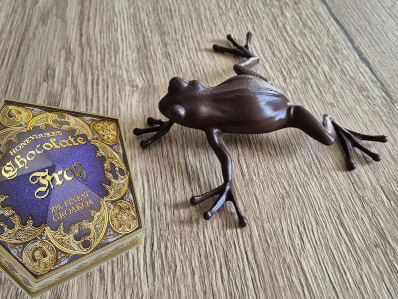 Chocogrenouille Harry Potter