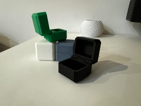 https://makerworld.bblmw.com/makerworld/model/US2719754348eef/design/2024-09-06_7695a1ece4762.jpg