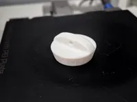 0.2mm layer, 4 walls, 25% infill