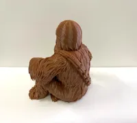 Chewbacca - Star Wars — photo 3