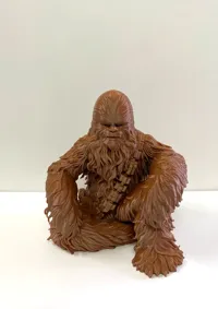 Chewbacca - Star Wars — photo 6