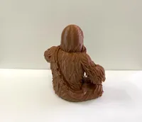 Chewbacca - Star Wars — photo 5