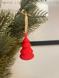 Boule de sapin de Noël — photo 4