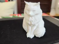 0.2mm layer, 2 walls, 10% infill