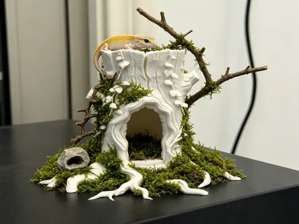 https://makerworld.bblmw.com/makerworld/model/US2722fb7e2218be/design/c9e71ba4094886bd.png