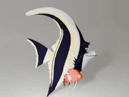 Gill and Nemo