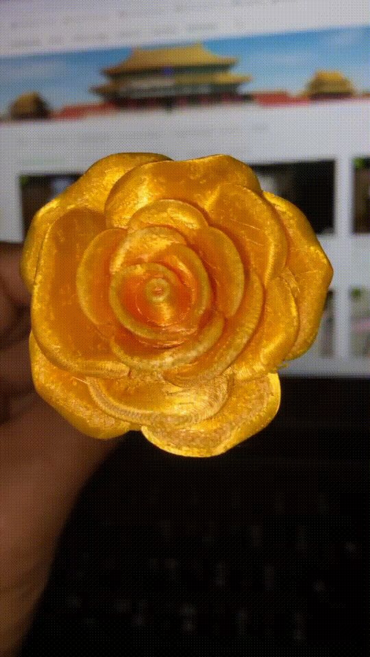 https://makerworld.bblmw.com/makerworld/model/US272430dd36e4a7/design/2025-10-15_33a1ac5200942.gif