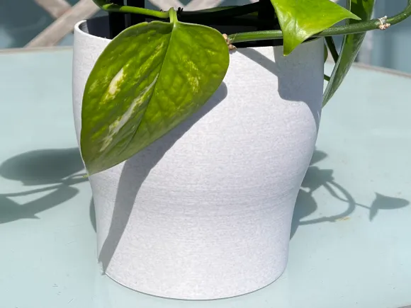 Plain Vase