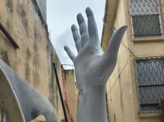 Hand and Forearm