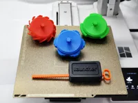0.2mm layer, 2 walls, 5% infill