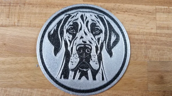 https://makerworld.bblmw.com/makerworld/model/US273304bffd2f61/design/2024-02-03_6770966187de4.jpg