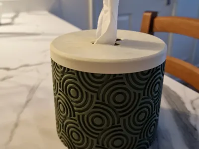 Tissue Box for toilet paper