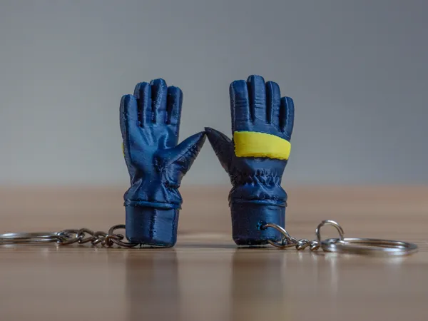 https://makerworld.bblmw.com/makerworld/model/US2736dd7769dc72/design/40da77a73de8e106.png