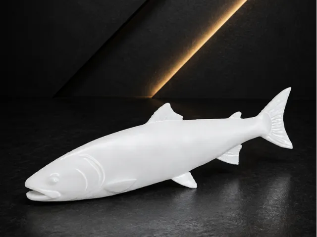 Salmon fish