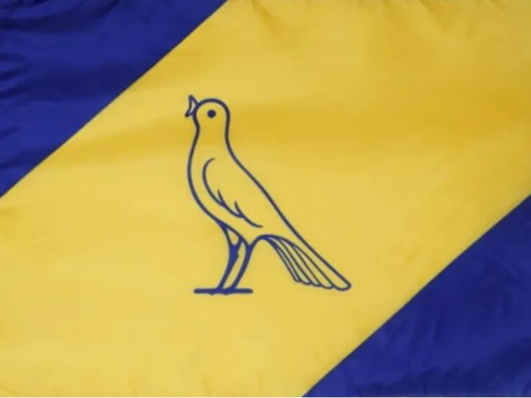 Bandiera FC Modena